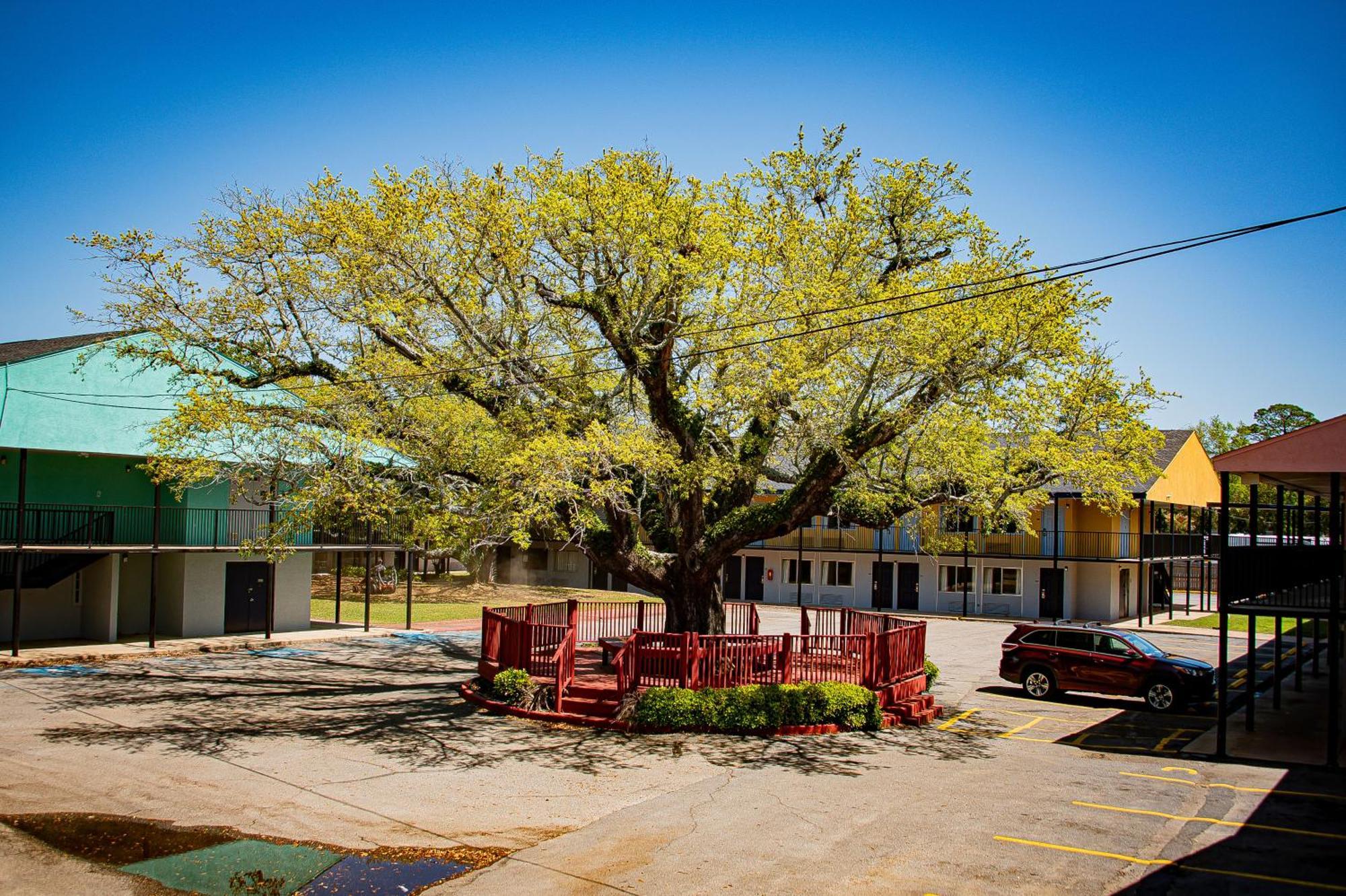Super 8 By Wyndham Biloxi Motel Luaran gambar